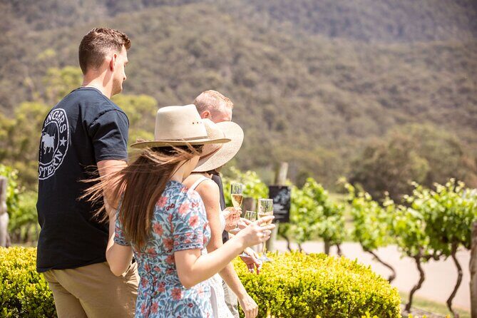 Audrey Wilkinson Vineyard: Picnic with Wine Masterclass Tasting - Practical Details