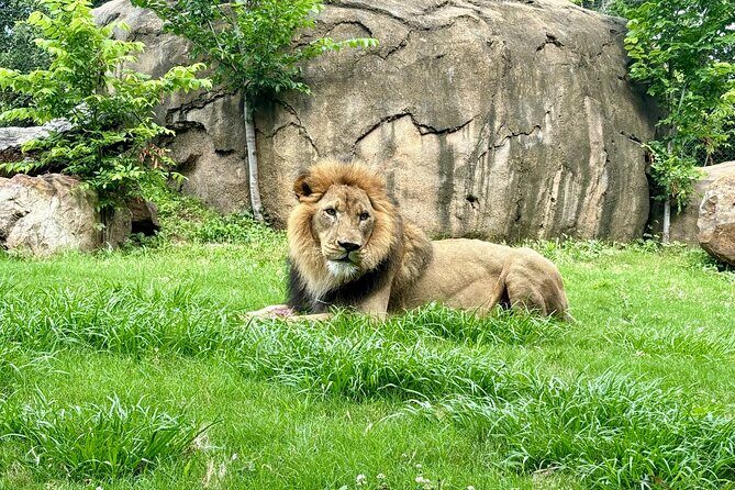 Audubon Zoo, Aquarium, and Insectarium Combo Ticket - Introduction: What You Need to Know About the Audubon Combo Experience