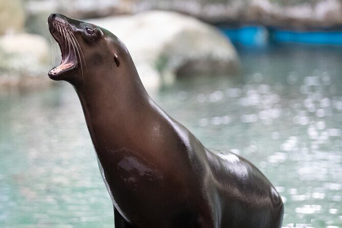 Audubon Zoo Ticket - Key Points