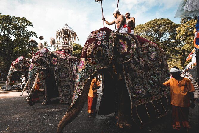 August Kandy Festive Tour - An In-Depth Look at the Itinerary