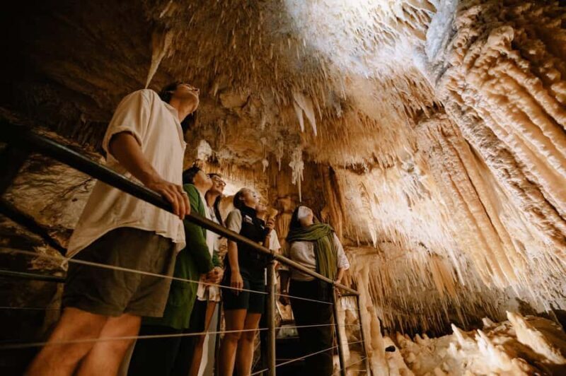 Augusta: Jewel Cave Fully-Guided Tour - An Introduction to Jewel Cave: Why It’s Worth Visiting