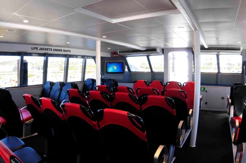 Augusta: Whale Watching Tour - Whale Sightings and Wildlife