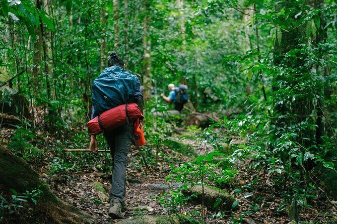 Aural Mountain Trek: Cambodia Tallest Peak Challenge - Key Points