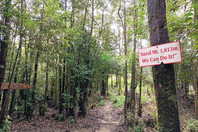 Aural Mountain Trek: Cambodia Tallest Peak Challenge - Who Should Consider This Tour?