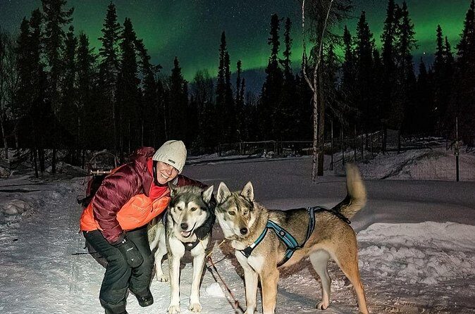 Aurora Activity at Sluice Box Sled Dogs - The Sum Up