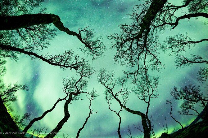 Aurora Adventure Tour with Creative Vacations - The Itinerary Breakdown: What You Can Expect