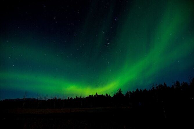 Aurora Borealis Quest: Private Yukon Nighttime Tour - The Experience in Detail