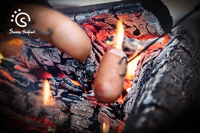 Aurora Borealis Trip in Lapland Lakeside - Final Thoughts: Is It Worth It?