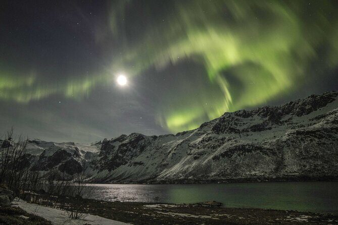 Aurora Chase with professional photographers (Northern Lights) - Who Should Consider This Tour?