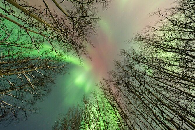 Aurora Chasing tour with Free Photography - The Value for Money