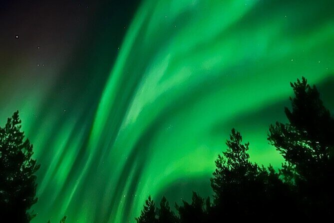 Aurora Hunt with BBQ in Rovaniemi - Who Is This Tour Best For?