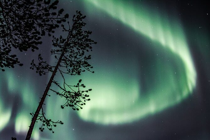 Aurora Hunting Photo Tour from Rovaniemi with Pickup - Final Words