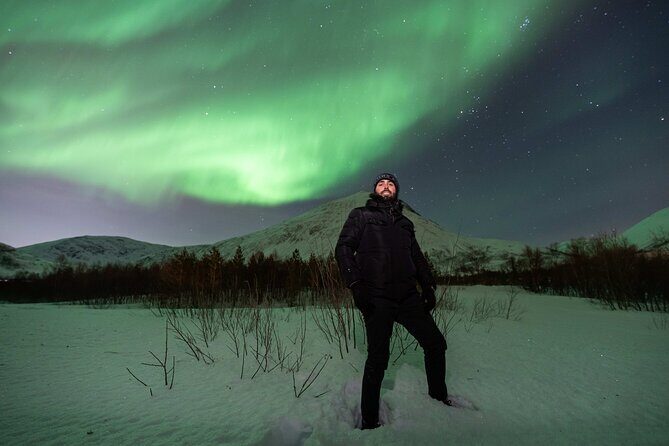 Aurora Magic Northern Lights Tour with Pro Photographer - The Experience: A Deep Dive into the Arctic Night