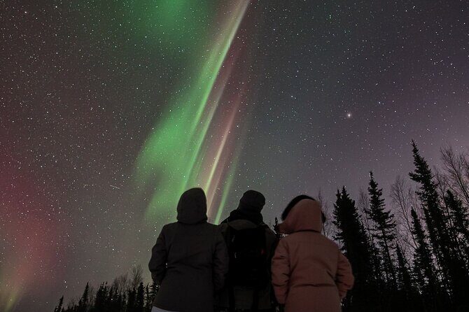 Aurora Oval Nightly Northern Lights Chase - Key Points