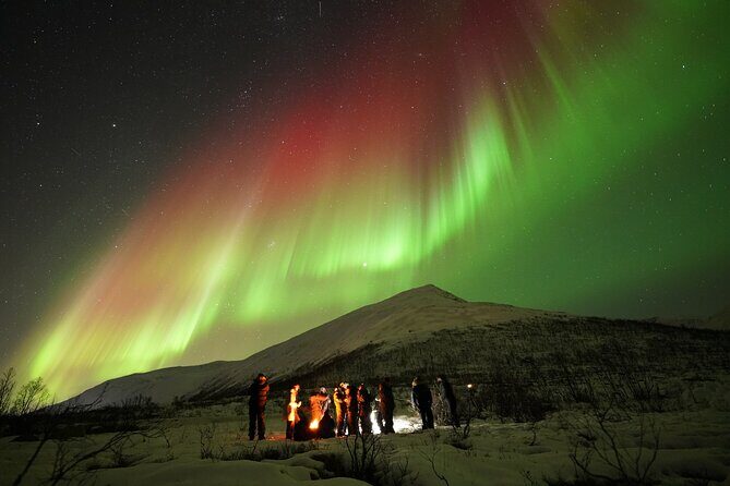 Aurora Tour - The Value of This Aurora Tour