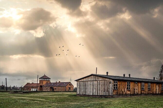 Auschwitz and Birkenau WITHOUT GUIDE private transport from Kraków - Key Points
