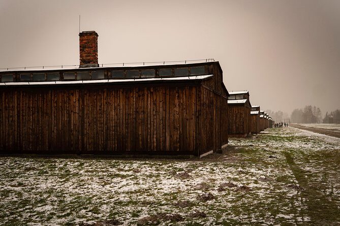 Auschwitz-Birkenau and Wieliczka Salt Mine Day Tour from Krakow with private car - The Sum Up