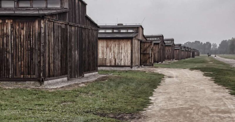 Auschwitz-Birkenau: Entrance Ticket and Live Tour Guide - Key Points