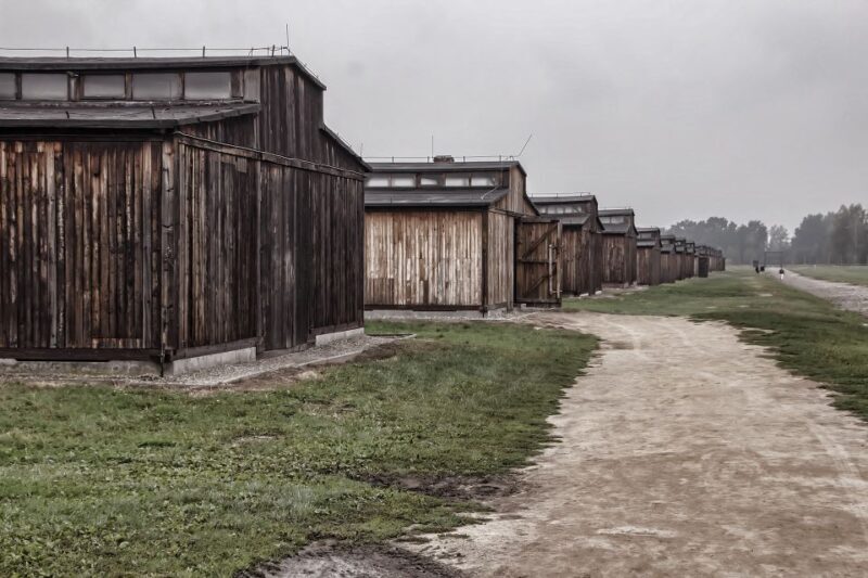 Auschwitz-Birkenau: Entrance Ticket and Live Tour Guide - Detailed Review of the Auschwitz-Birkenau Guided Tour