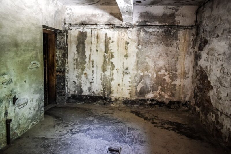 Auschwitz-Birkenau: Entrance Ticket and Live Tour Guide - Who Should Consider This Tour?