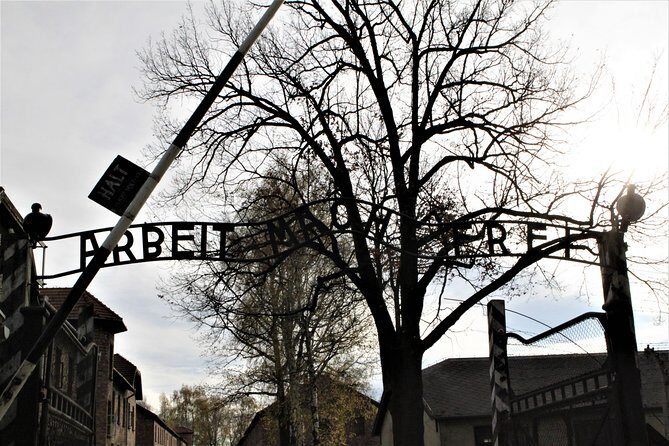 Auschwitz-Birkenau Guided Tour by Private Transport from Krakow - Who Should Book This Tour?