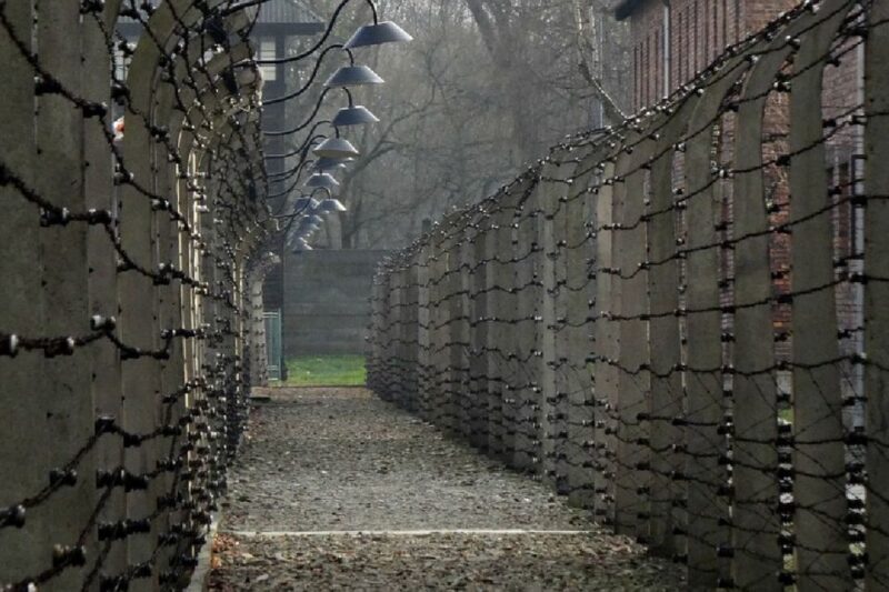 Auschwitz-Birkenau Guided Tour & Transfer from Krakow - Key Points