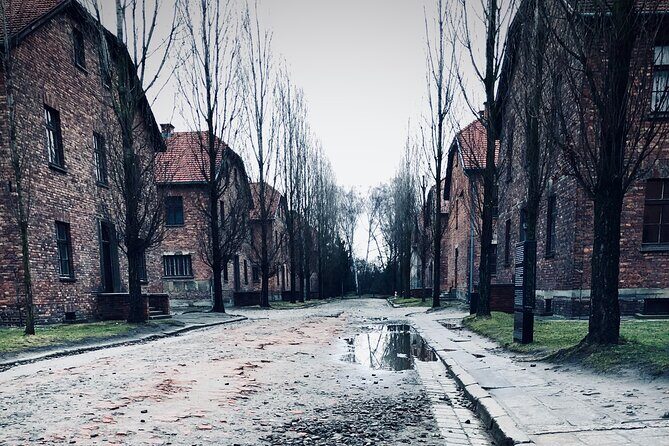 Auschwitz-Birkenau Guided Tour with Private Transport from Krakow - Key Points