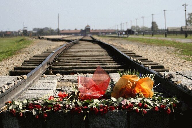 Auschwitz-Birkenau Guided Tour with Private Transport from Kraków - A Closer Look: What to Expect from This Tour