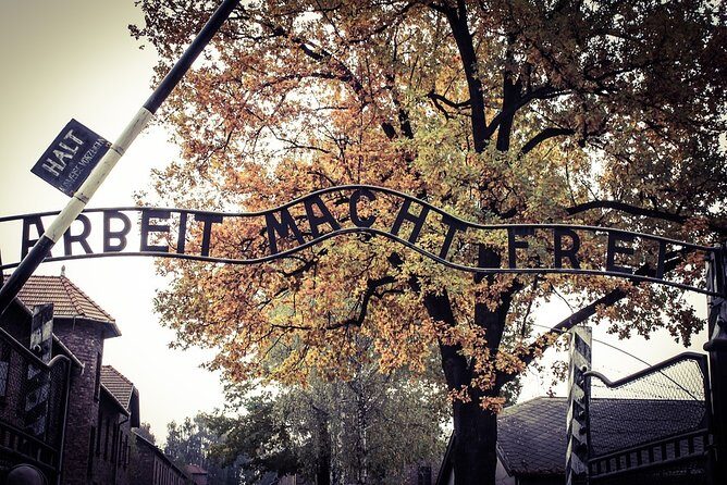 Auschwitz-Birkenau Live Guided Tour and Transfer from Krakow - The Sum Up