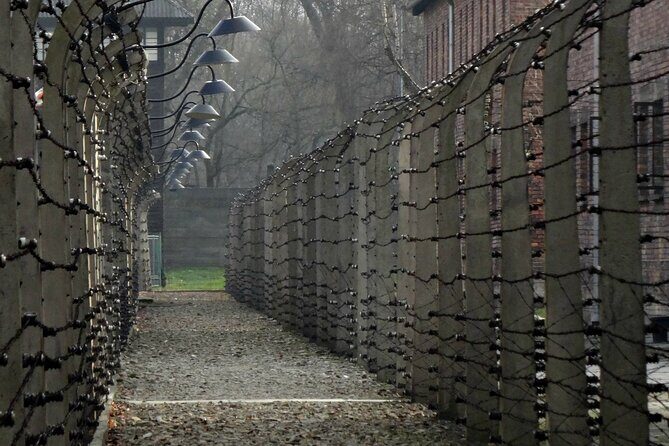 Auschwitz & Birkenau: Live-Guided Tour with Transportation and Hotel Pickup - An In-Depth Look at the Auschwitz & Birkenau Tour Experience
