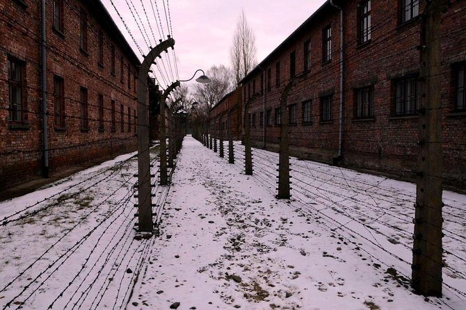 Auschwitz Birkenau Memorial and Museum group tour from Krakow - An In-Depth Look at the Auschwitz Birkenau Tour