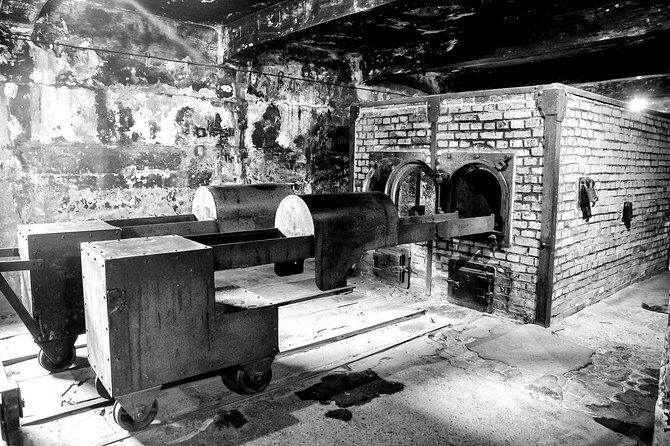 Auschwitz-Birkenau Memorial and Museum Guided Tour from Krakow - Who Is This Tour Best For?
