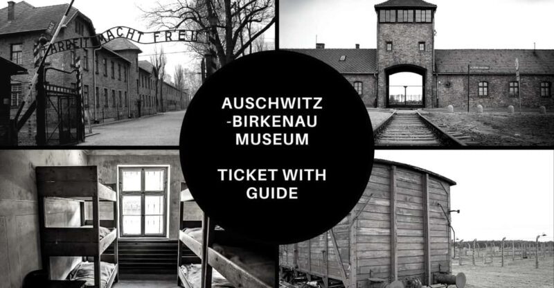Auschwitz-Birkenau: Memorial Entry Ticket and Guided Tour - Key Points
