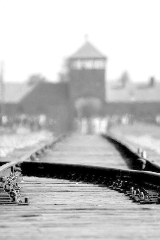 Auschwitz-Birkenau: Memorial Entry Ticket and Guided Tour - A Detailed Look at the Auschwitz-Birkenau Guided Tour