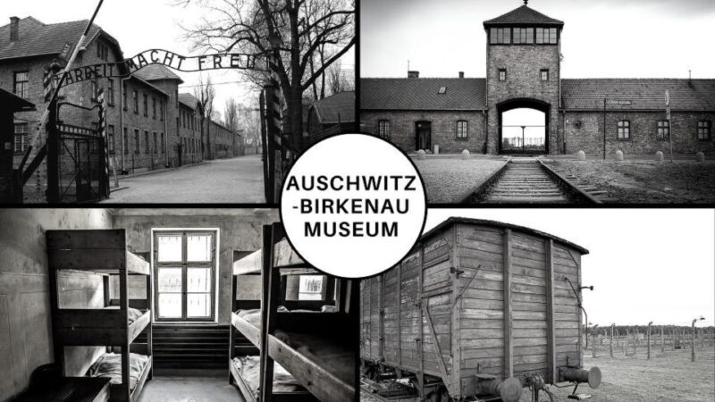 Auschwitz-Birkenau: Museum Entry Ticket with Guided Tour - A Detailed Exploration of the Experience
