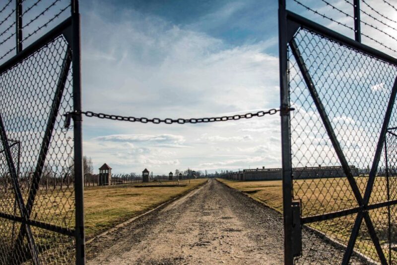 Auschwitz-Birkenau: Museum Entry Ticket with Guided Tour - The Experience for Different Travelers
