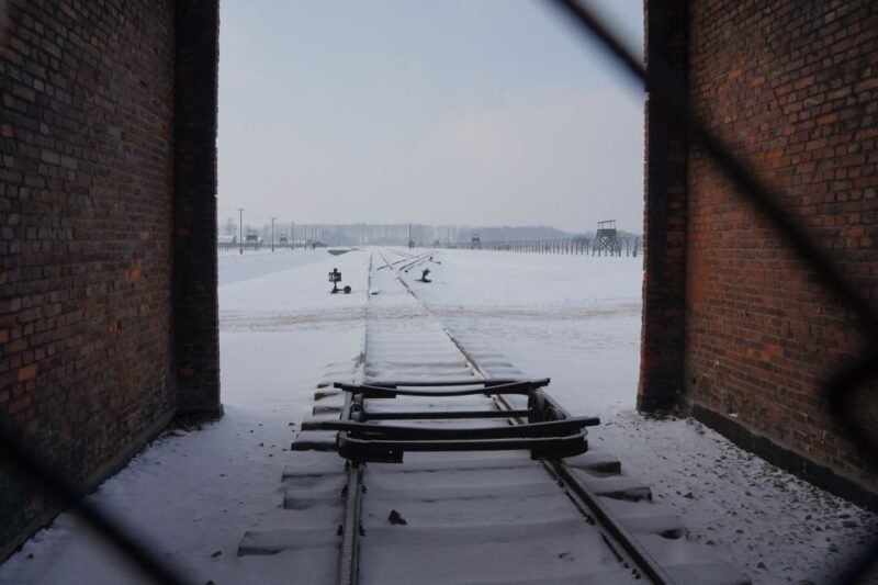 Auschwitz-Birkenau: Museum Entry Ticket with Guided Tour - Final Thoughts