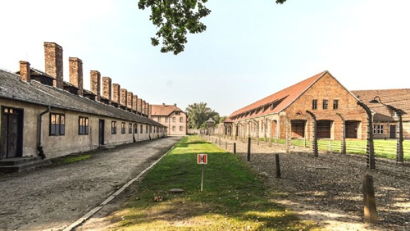 Auschwitz-Birkenau Museum Tour from Krakow - Key Points