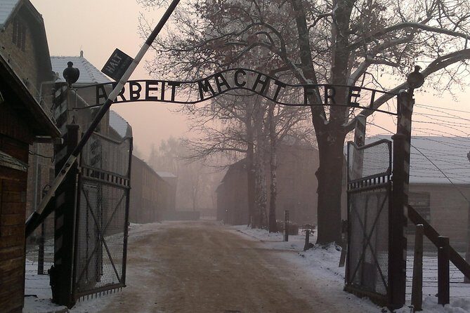Auschwitz-Birkenau Museum Tour from Krakow - A Deep Dive into the Auschwitz-Birkenau Experience