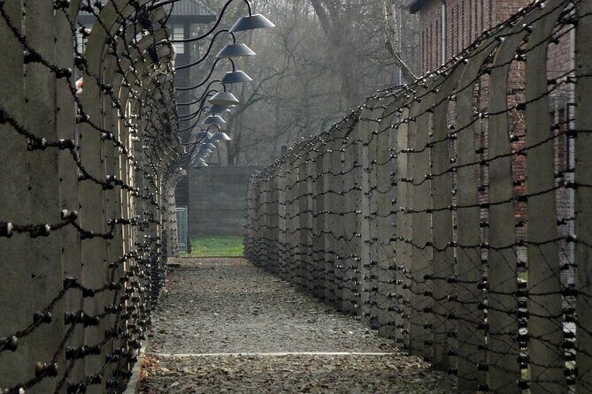 Auschwitz-Birkenau Private Tour from Krakow - Who Will Benefit Most from This Tour?