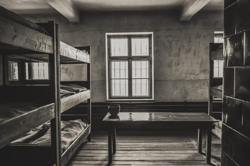 Auschwitz-Birkenau & Salt Mine Tour in One Day from Krakow - Analyzing the Value: Is It Worth the Cost?