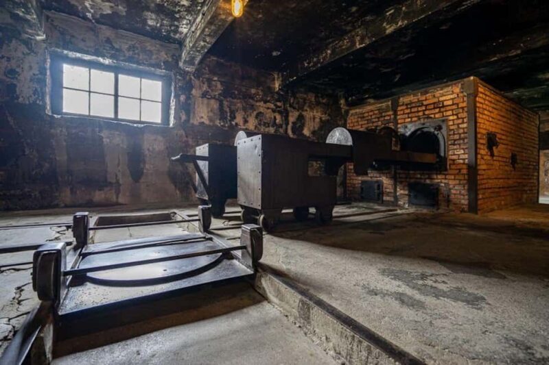 Auschwitz-Birkenau: Skip-the-Line Entry and Guided Tour - Accessibility and Practical Tips