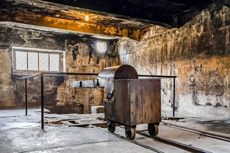 Auschwitz-Birkenau Skip-the-Line Guided Tour - An In-Depth Look at the Auschwitz-Birkenau Guided Tour