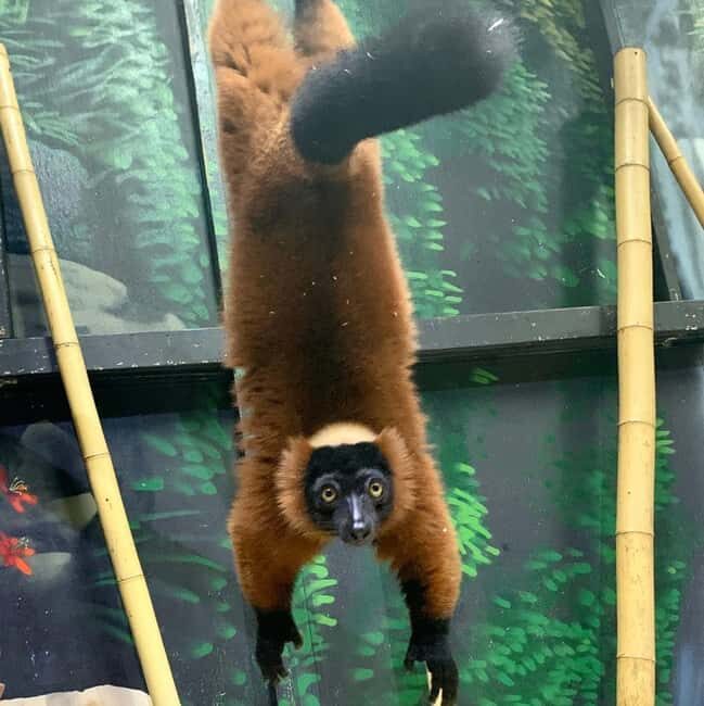 Austin Aquarium Entry Ticket - Key Points