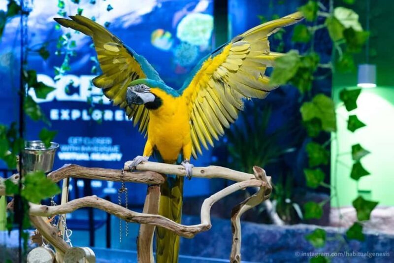 Austin Aquarium Entry Ticket - The Sum Up