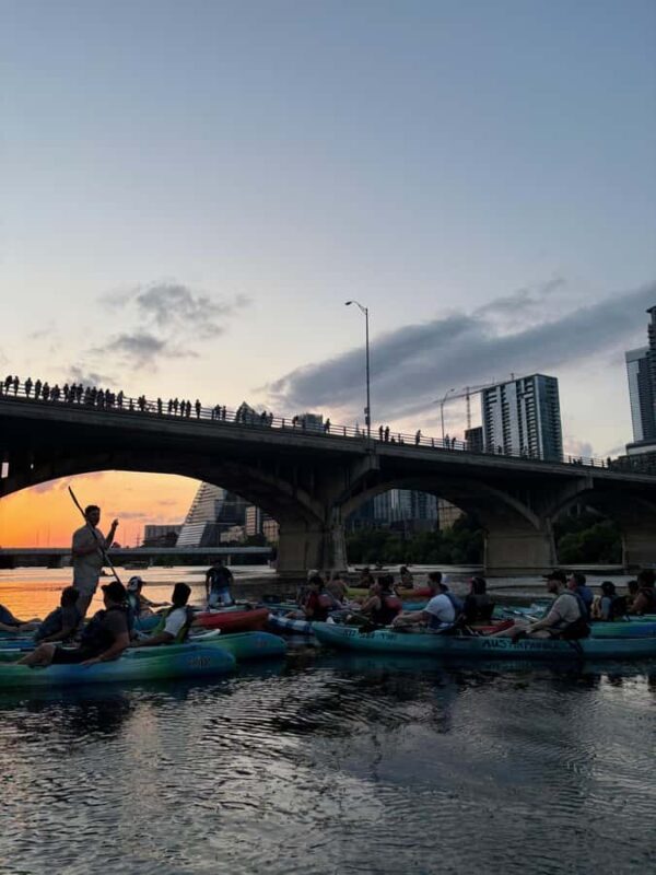 Austin: Bat Bridge Sunset Kayak Tour - Key Points