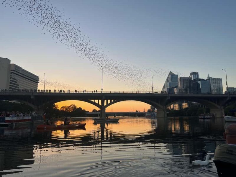 Austin: Bat Bridge Sunset Kayak Tour - An In-Depth Look at the Experience