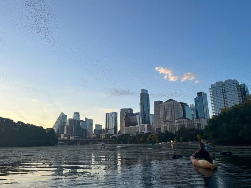 Austin: Bat Bridge Sunset Kayak Tour - Final Thoughts