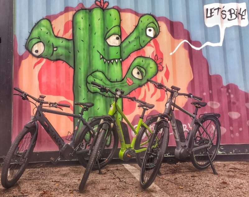 Austin: Electric Bike City Sightseeing Tour - A Closer Look: What You Can Expect
