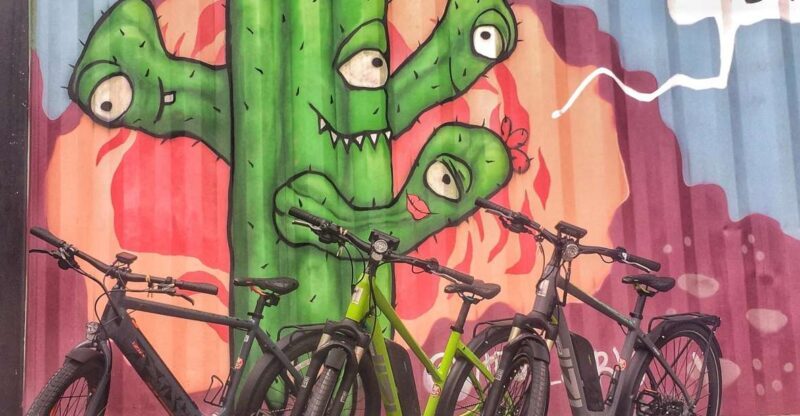 Austin: Electric Bike City Sightseeing Tour - Scenic Stop at Barton Springs